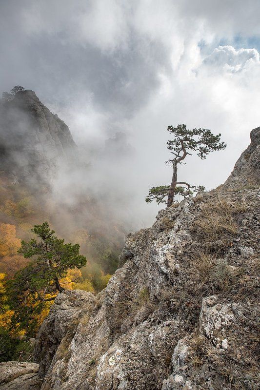 ДЕМЕРДЖИ... фото превью