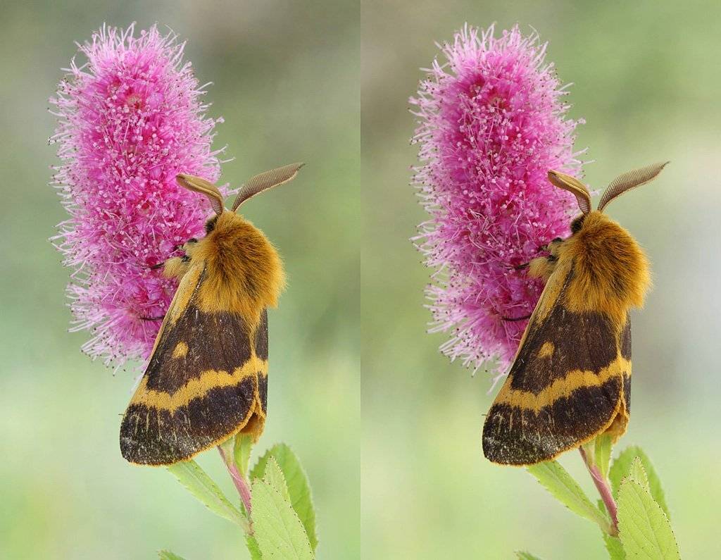 , Сергей Таланов