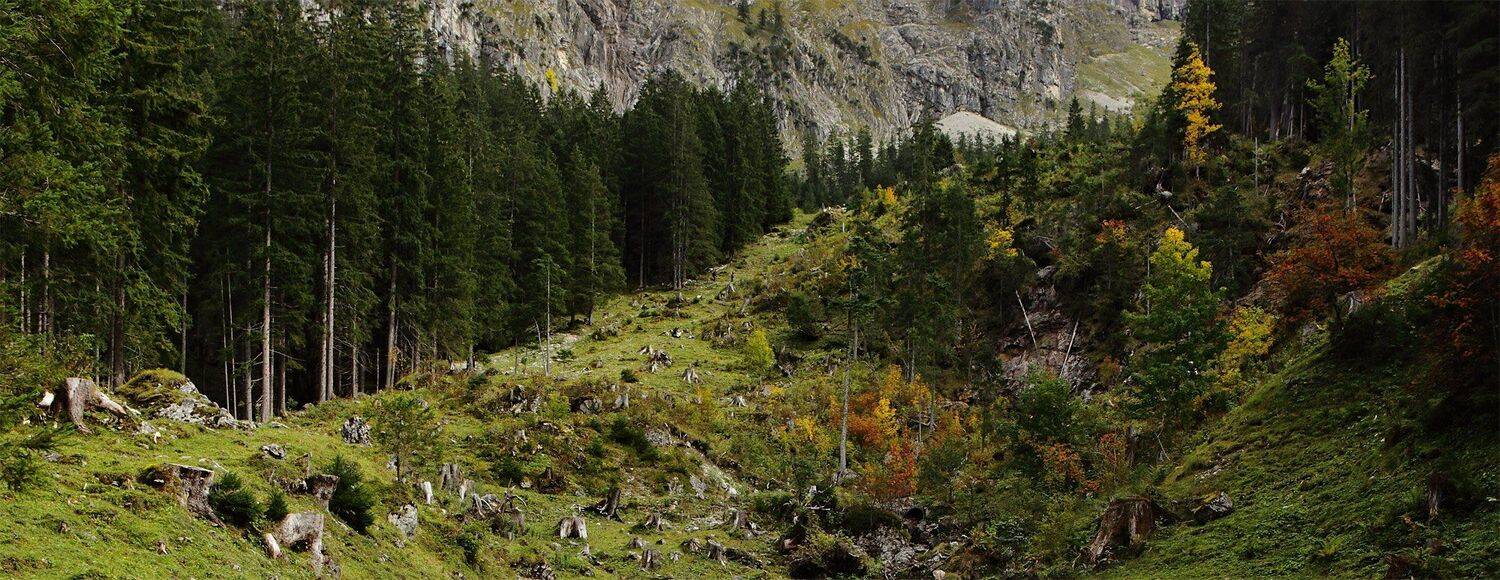 австрия, альпы,осень, Игорь Дубровский