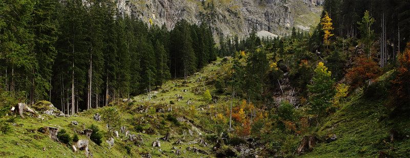 австрия, альпы,осень  фото превью