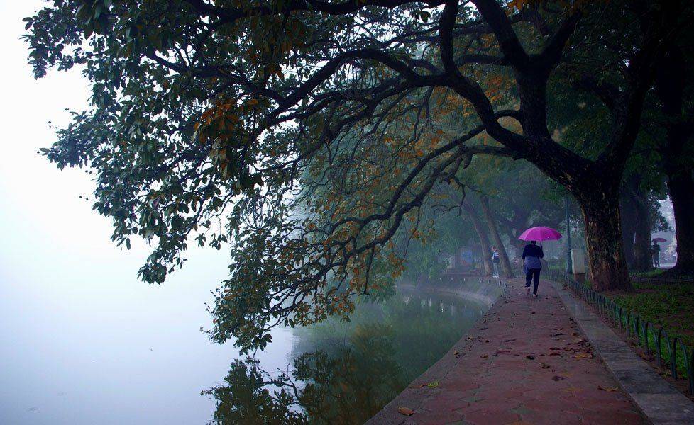 данг туан  tpyнг, frank dang, dang tuan trung, утренняя роса, Frank Dang