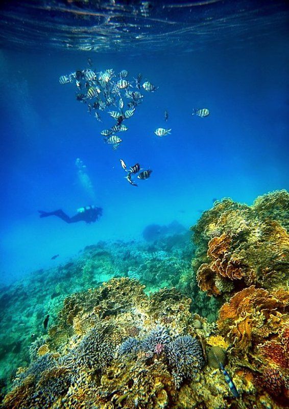 . фото превью