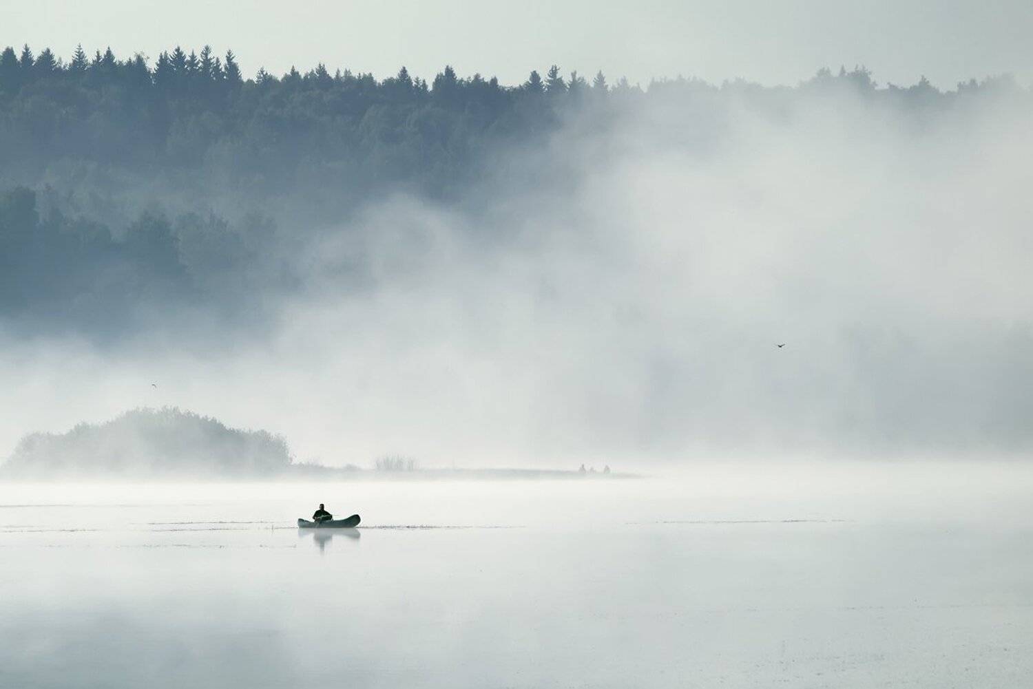 , Максим Евдокимов