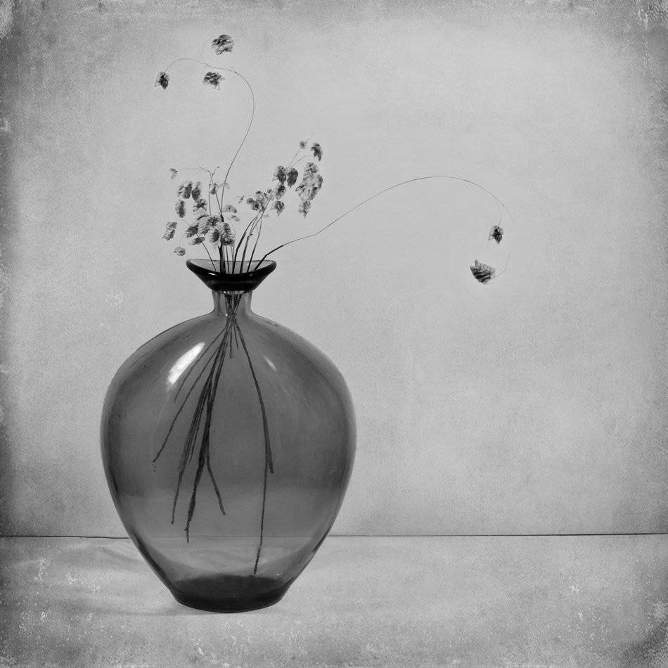 , Людмила Прокофьева