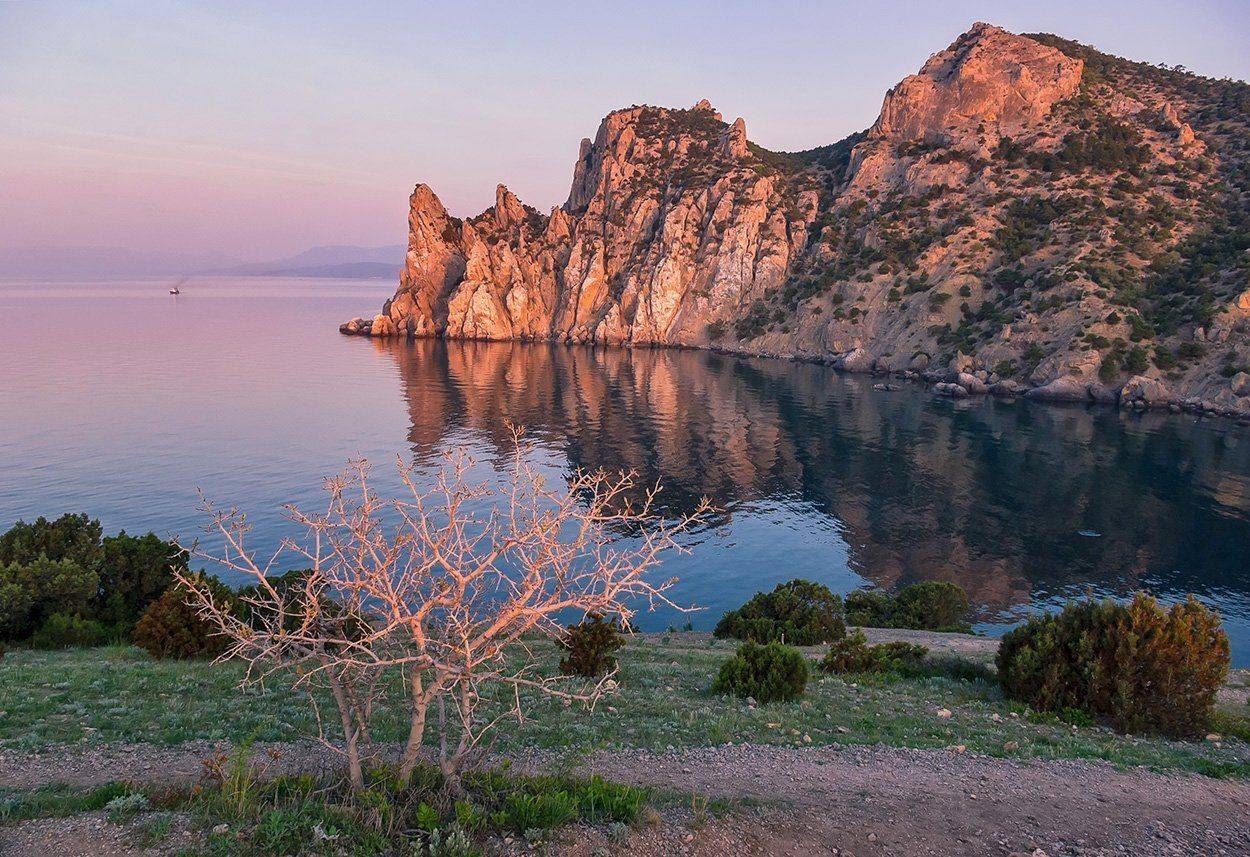 , Игорь Мелекесцев