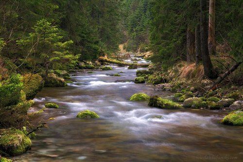 stream
