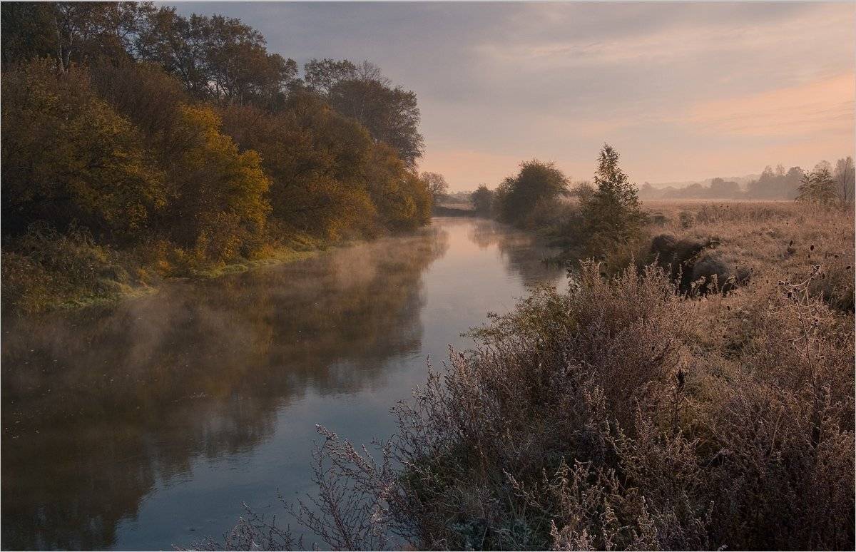 , Николай Шахманцир