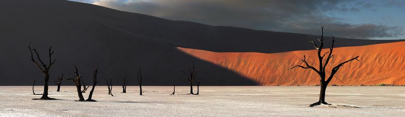 12 разгневанных мужчин (Death is on their minds) фото превью
