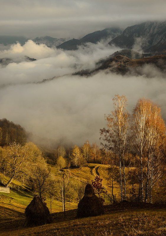 Morning stories фото превью