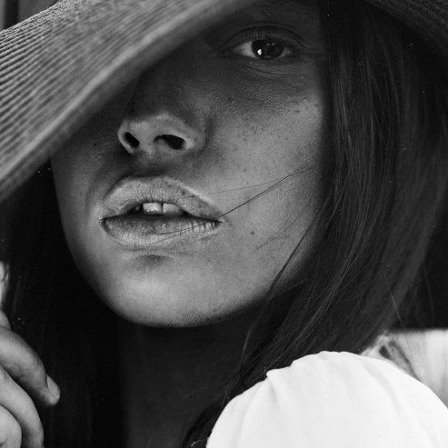 , Александр Кожевников