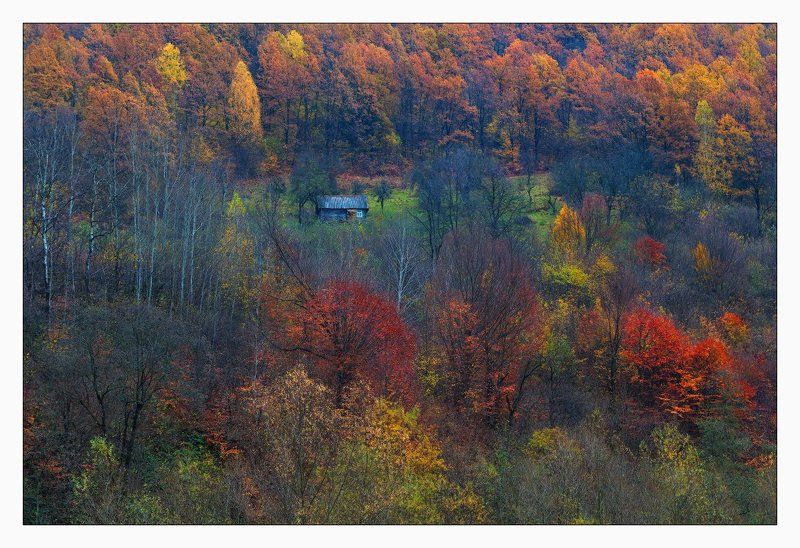 карпаты ДОМ, ГДЕ ОСЕНЬ ЖИВЕТ фото превью