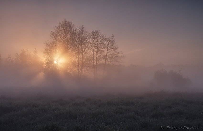 , Katarzyna Gritzmann