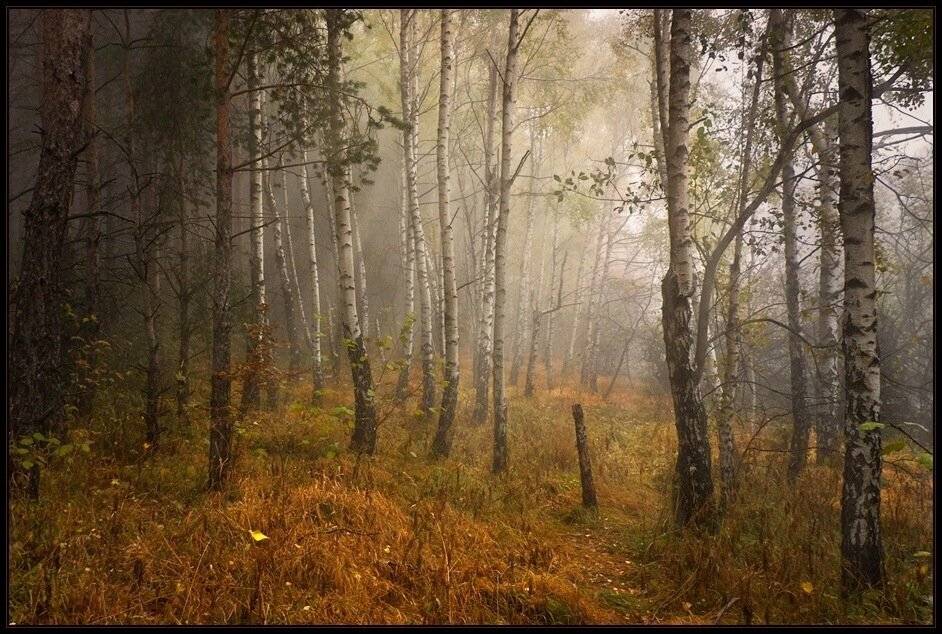 bulgaria, , vitosha, Svetoslav