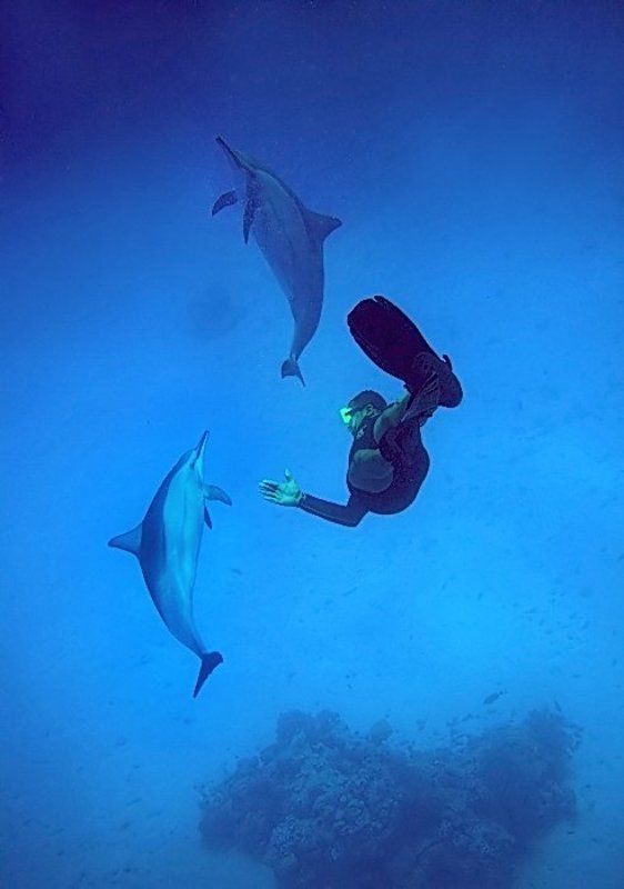 . фото превью