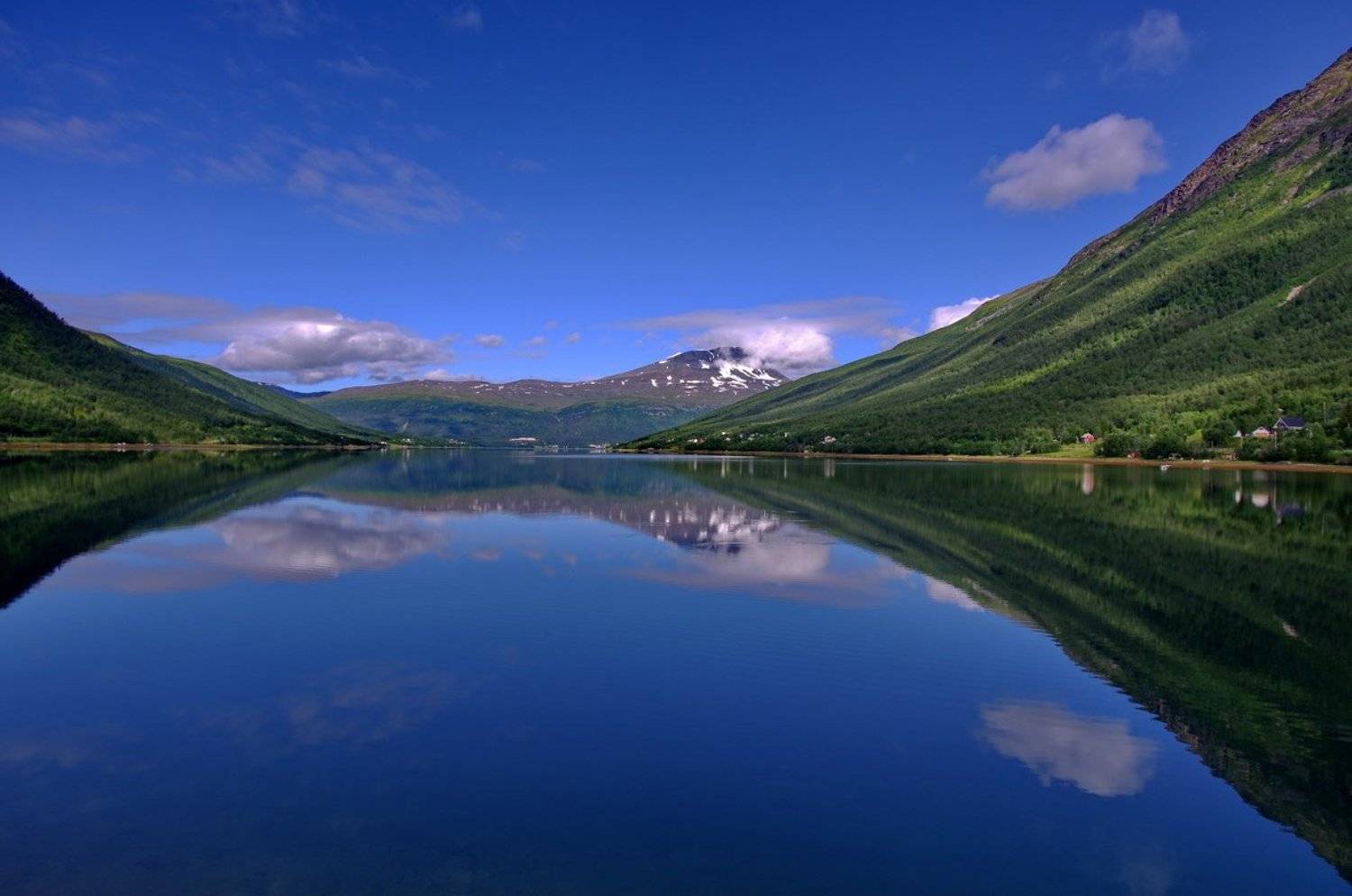 , Арсен Алабердов