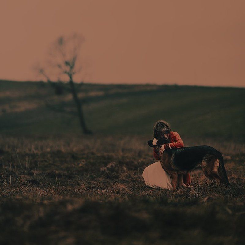 ___ фото превью