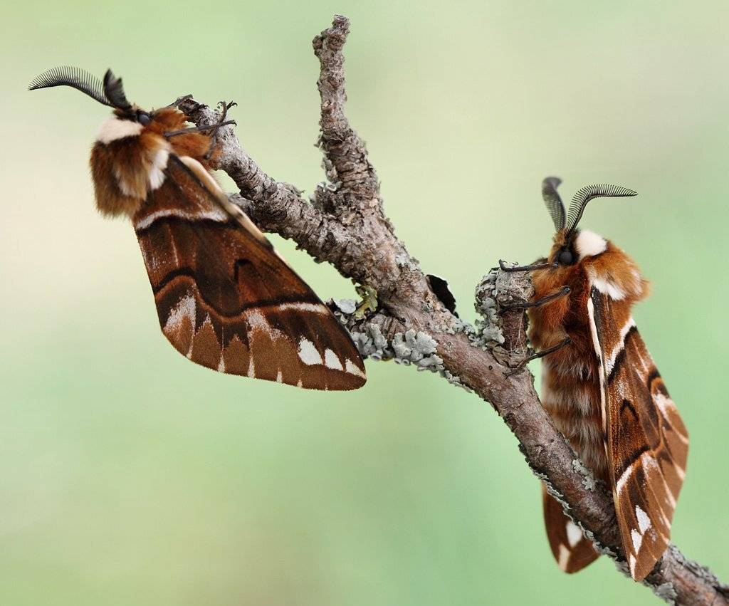, Сергей Таланов