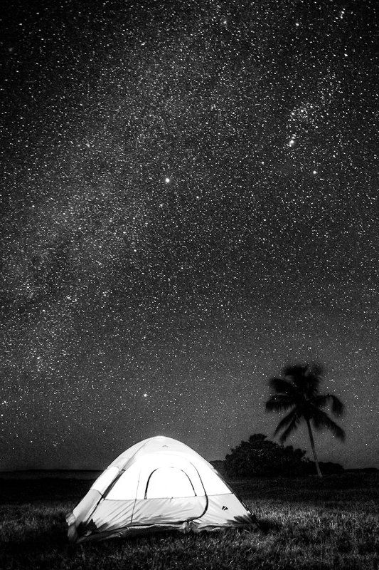 Немного о звездах в Everglades фото превью