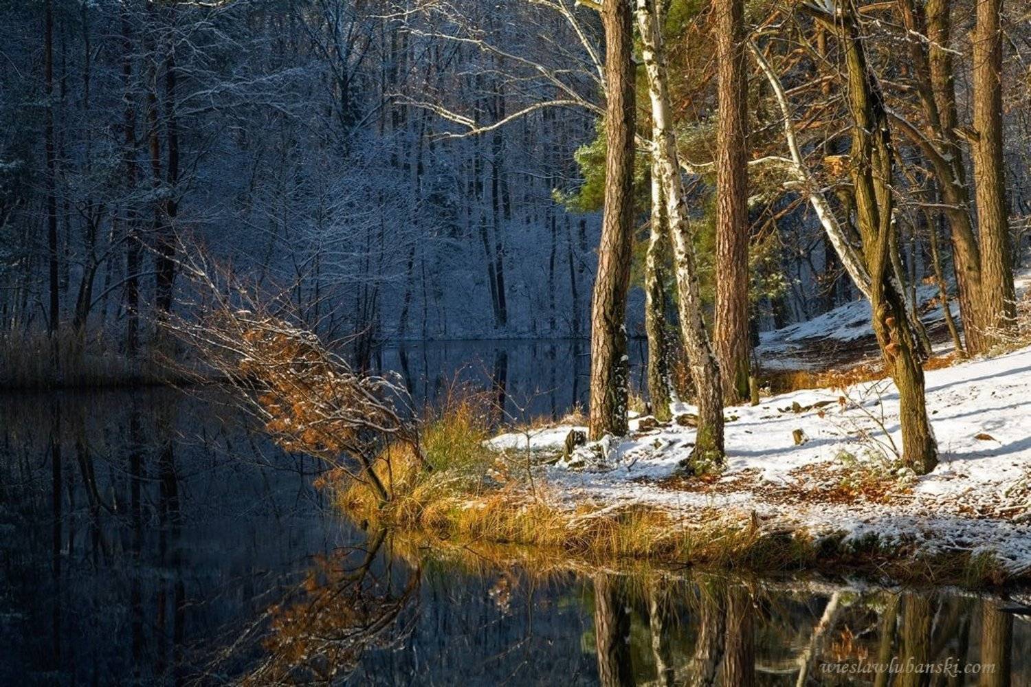 snow, morning, ciudat