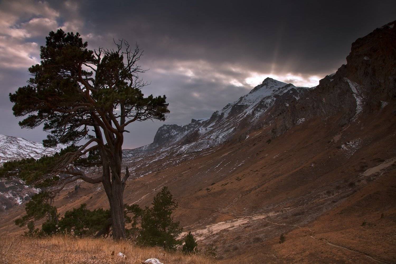 лаги,  закат, оштен, Ирина Заграничная