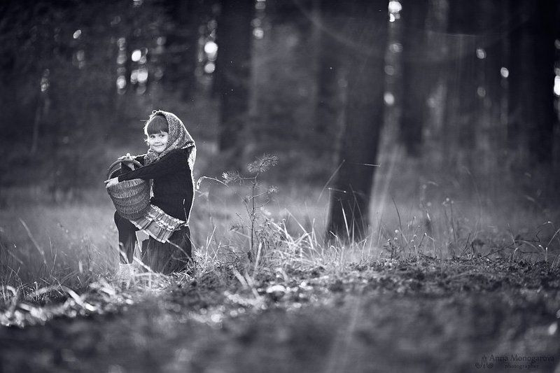 По грибы фото превью