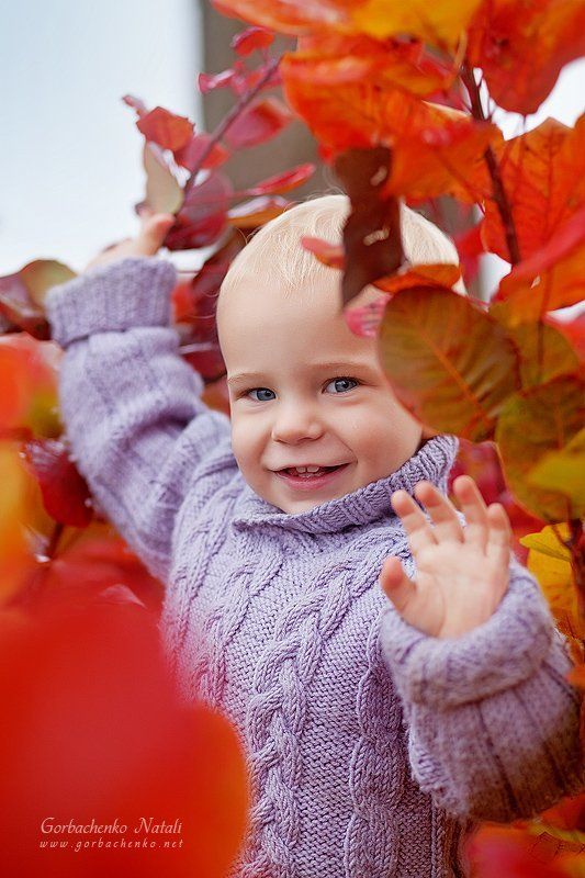 Краски осени фото превью