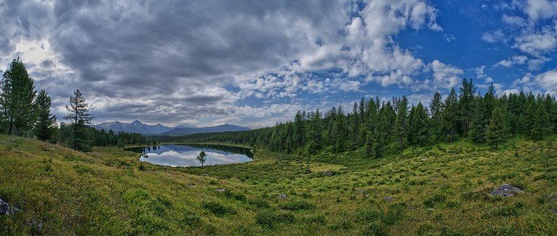 Кеделю фото превью