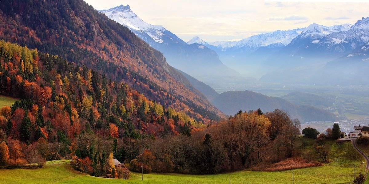 swiss, Матвеев Николай