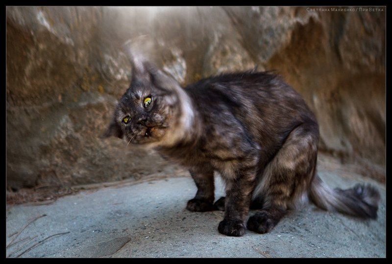 Экзорцизм фото превью