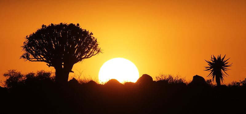 Playing birul’ki in the fields of giants фото превью