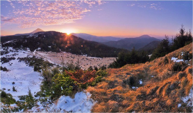 Утренняя зарисовка... фото превью