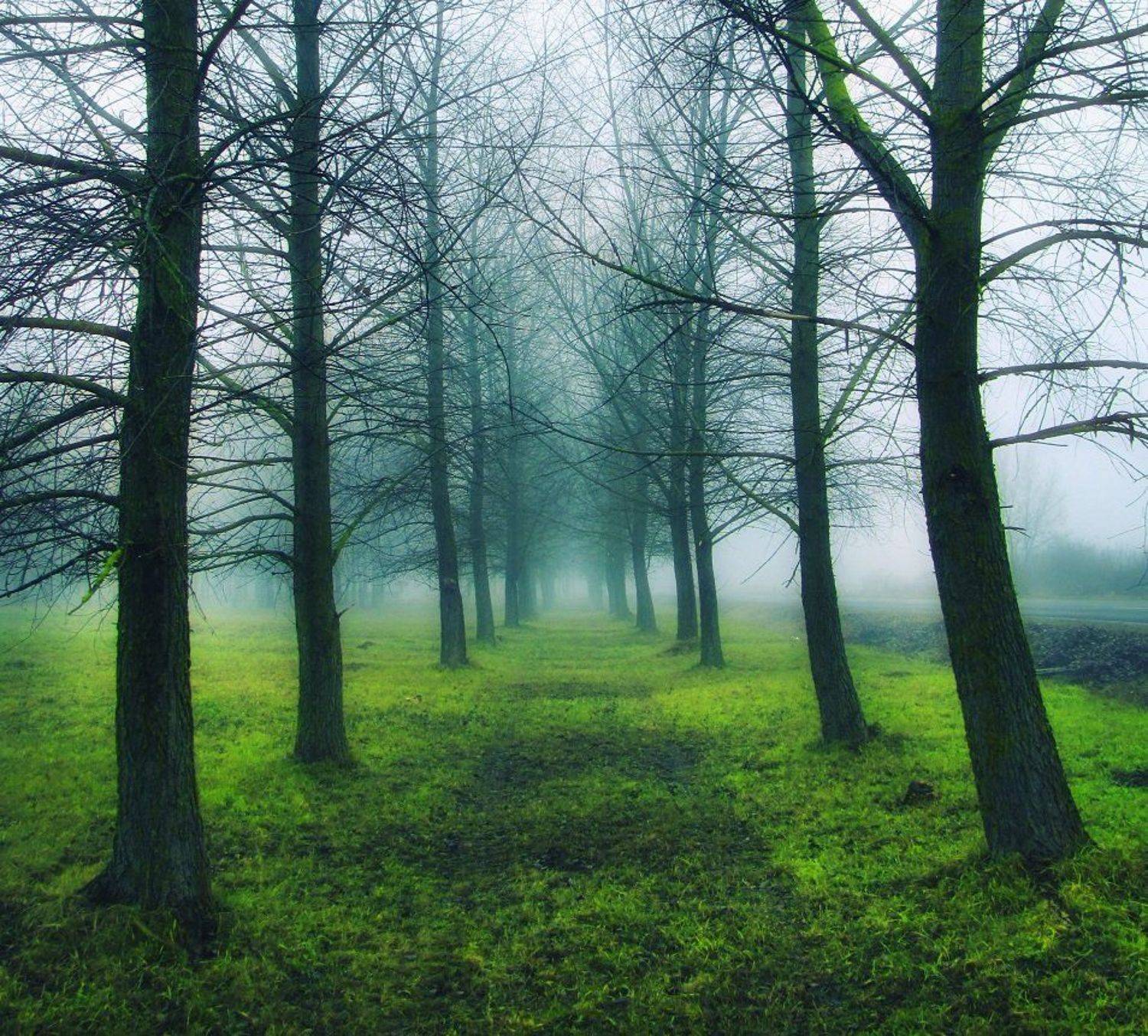 , Vitalijus Serioginas