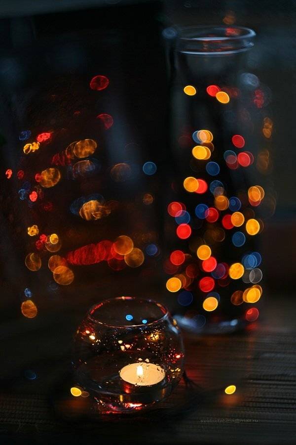 , Svoboda Andreeva