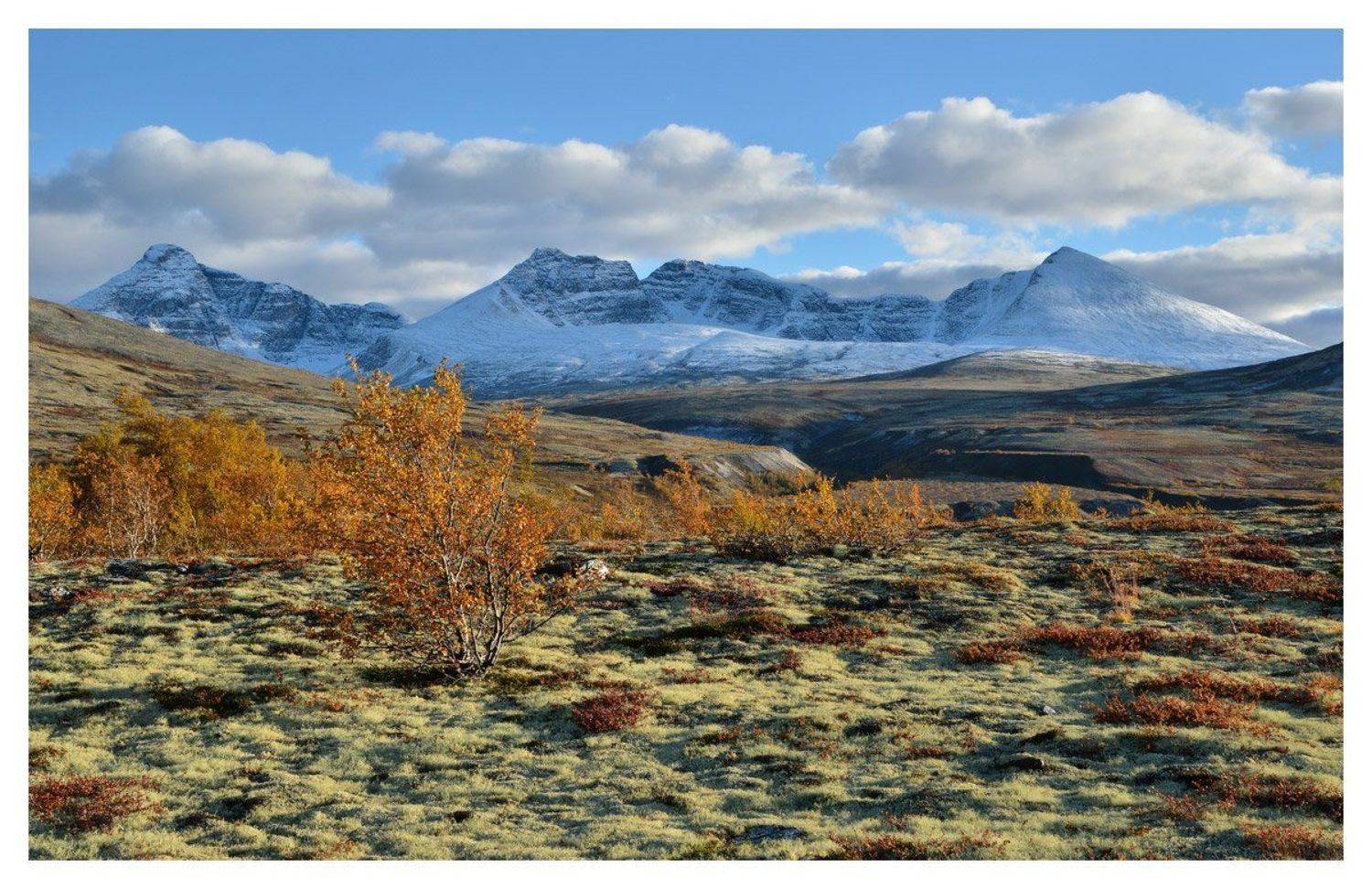 норвегия, золотая осень, b.o.g.