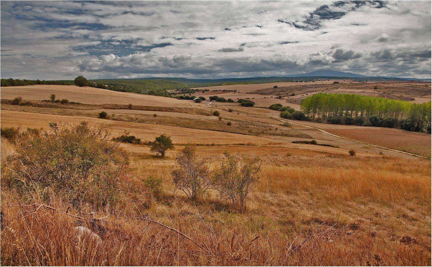 испания, рьеха, осень, Сергей Гаспарян