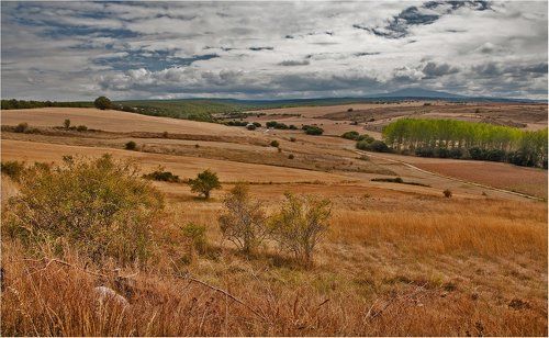 осенний эскиз