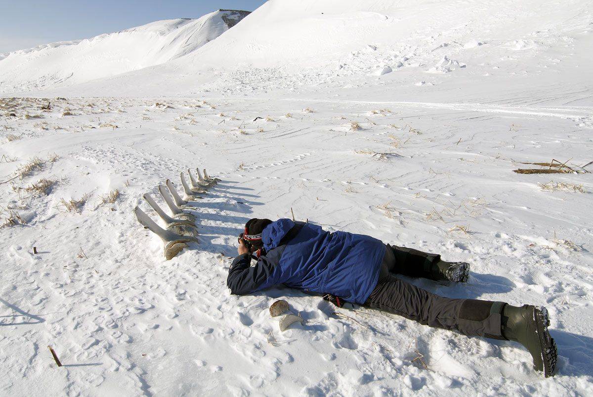 командорские острова, фотограф, Utkin  Dmitriy