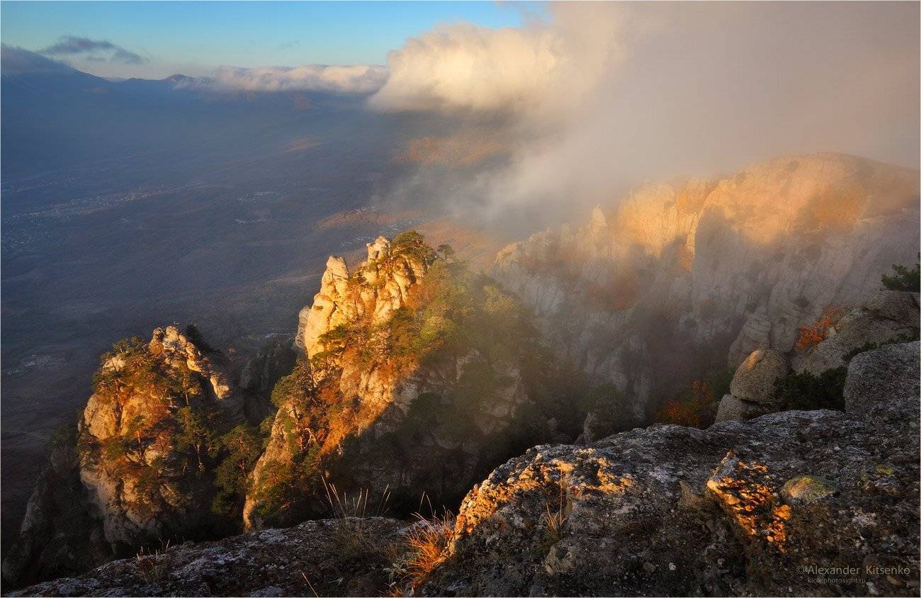 , Александр Киценко