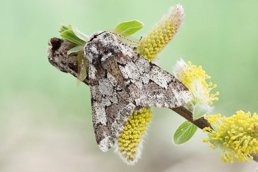 , Сергей Таланов