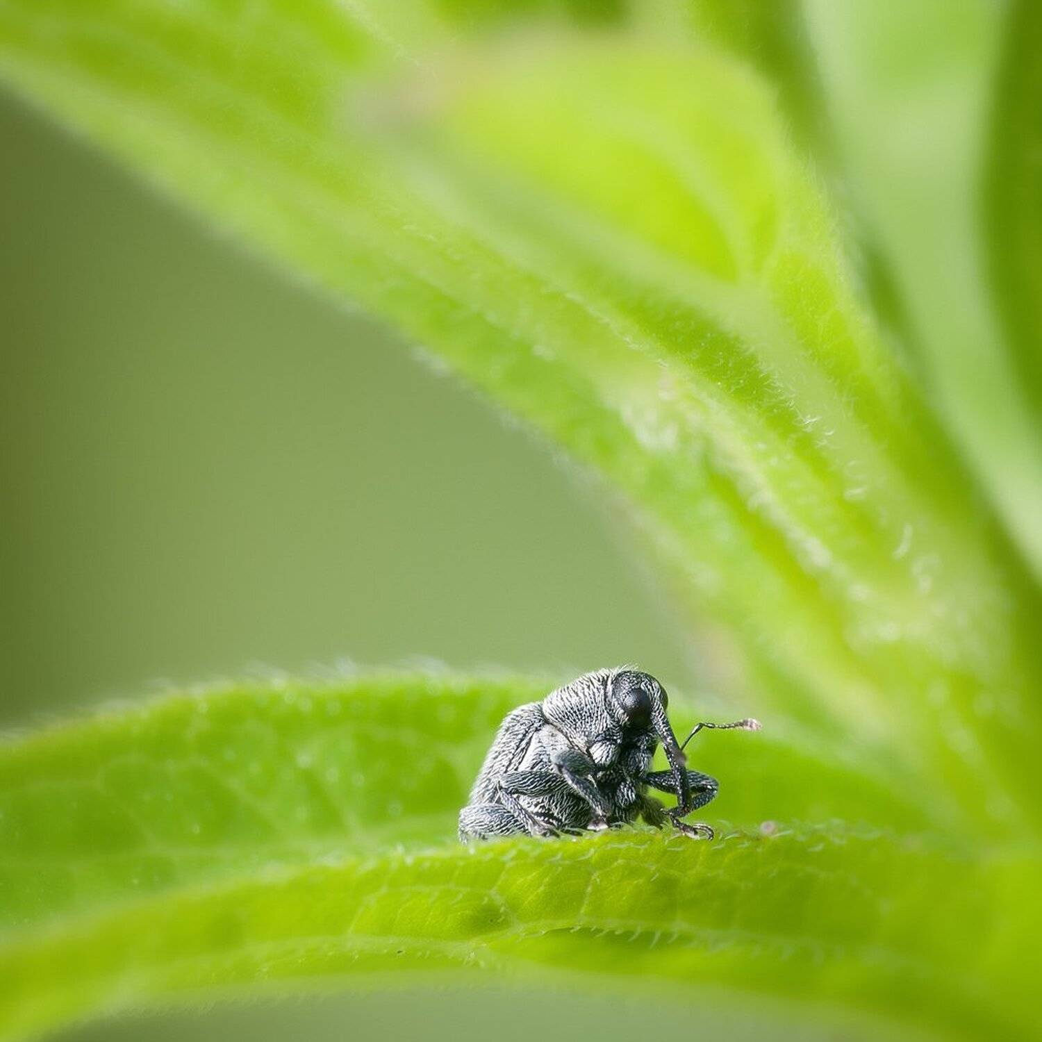, Кузнецов Дмитрий
