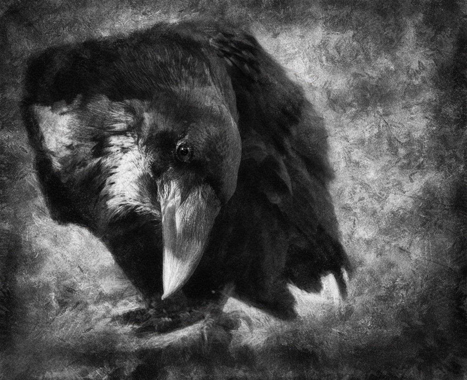 , Наталья Кузнецова (Nateletro)