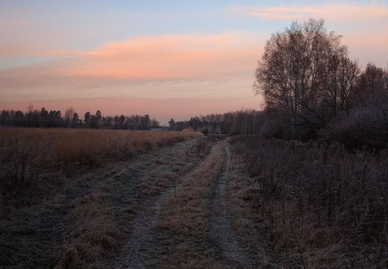 , Владимир Перепечаев