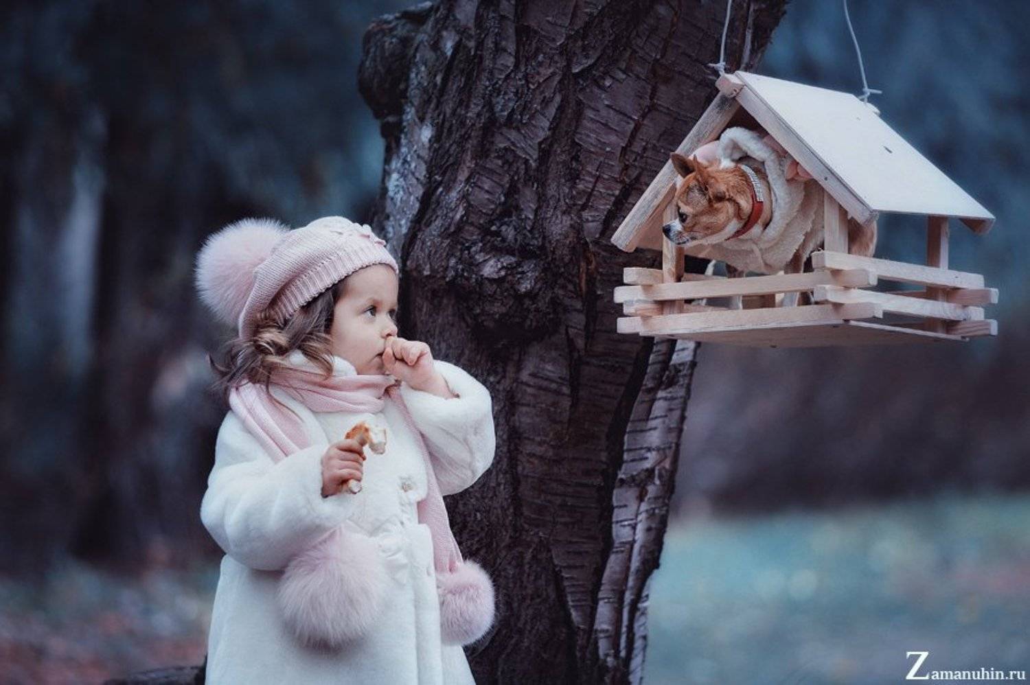 , Иван Заманухин