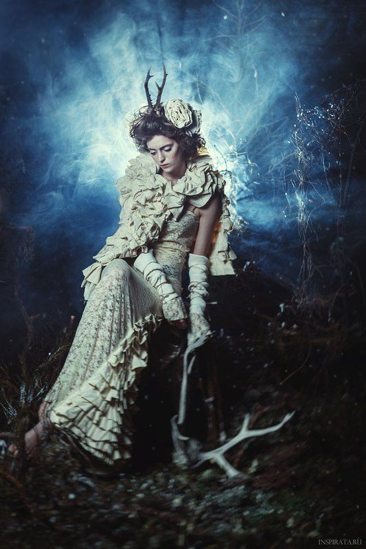 Forest Story фото превью