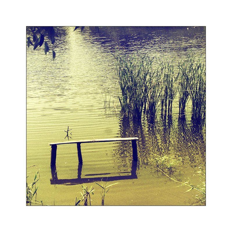 ------ фото превью