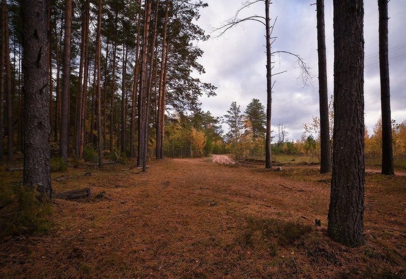 Осеннее утро фото превью