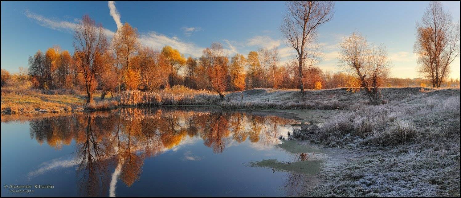, Александр Киценко