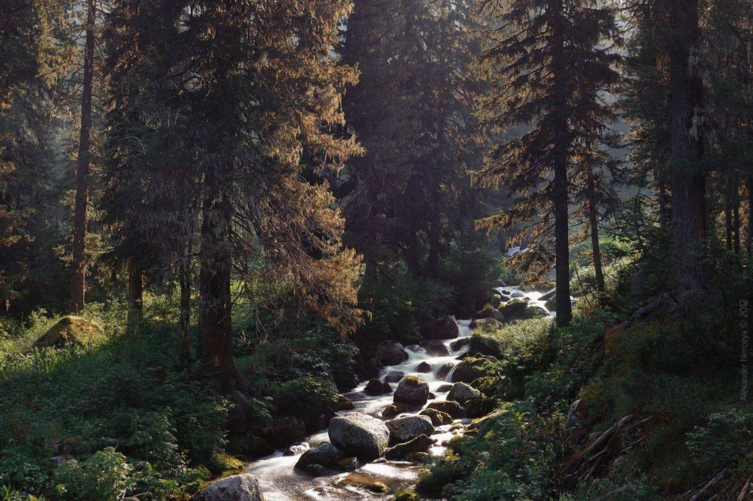 ергаки, , , красноярский, , , край, , , россия, , , сибирь, , , природа, , , тайга, , , горы, , , лето, Александр 'Horimono' Нерозя