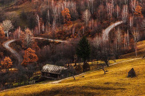 Осенние краски