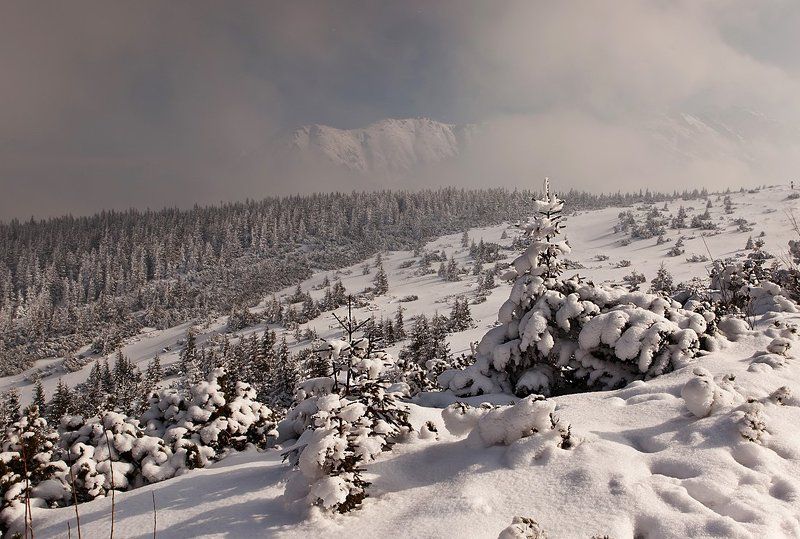 Миражи. фото превью